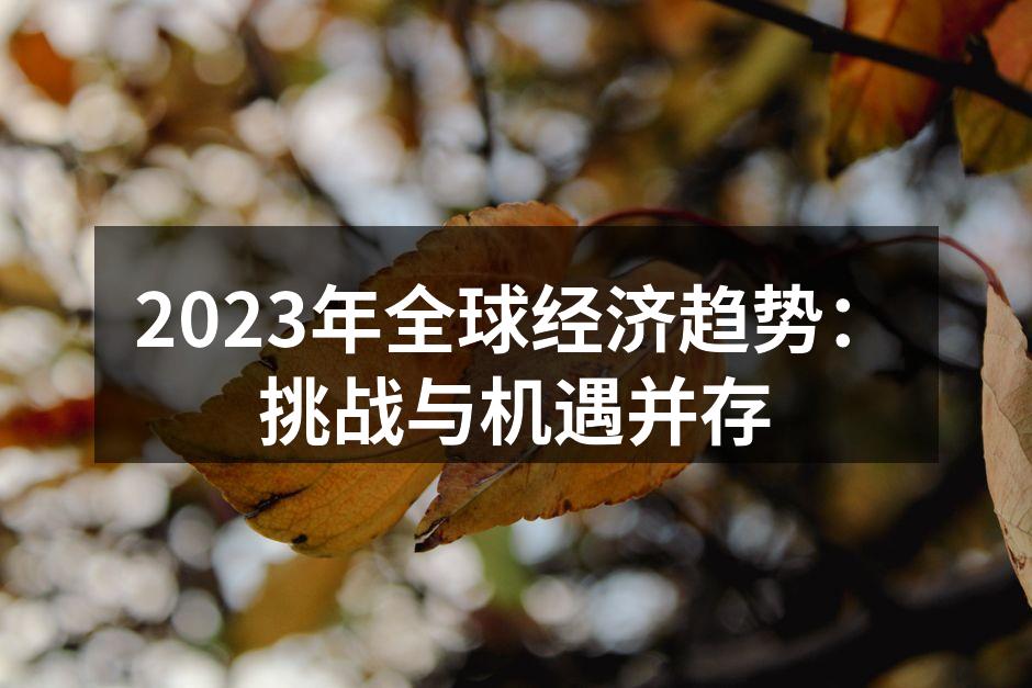 2023年全球经济趋势：挑战与机遇并存