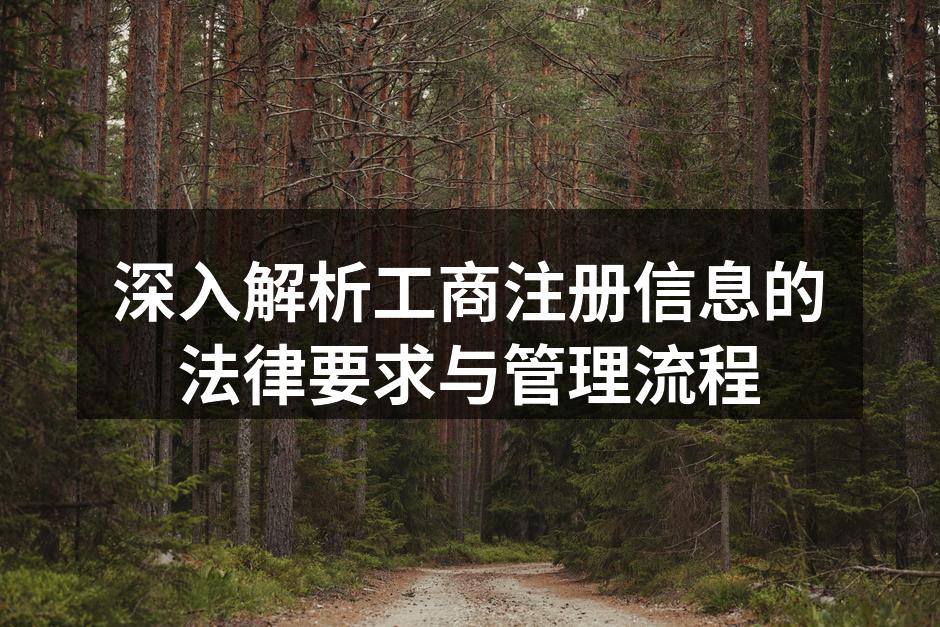 深入解析工商注册信息的法律要求与管理流程