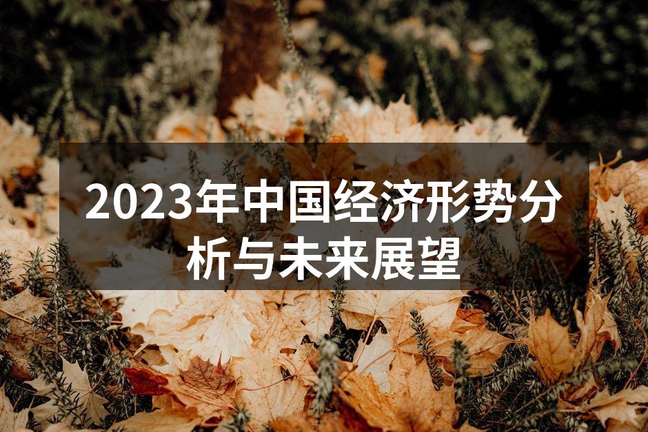 2023年中国经济形势分析与未来展望