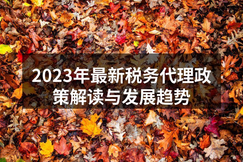 数字化税务服务提升效率