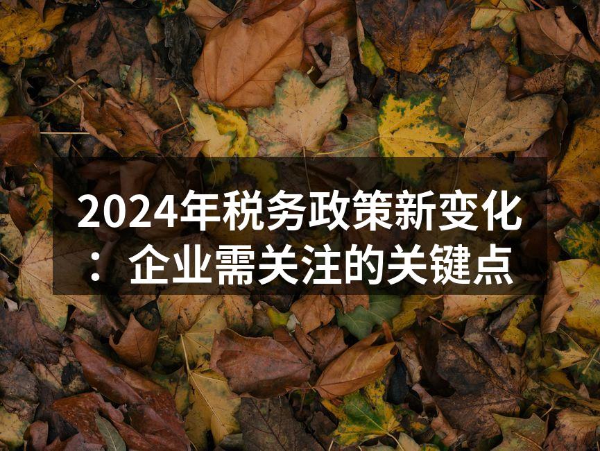 2024年税务政策新变化：企业需关注的关键点