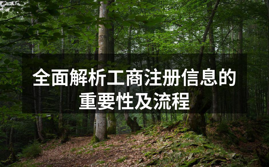 全面解析工商注册信息的重要性及流程