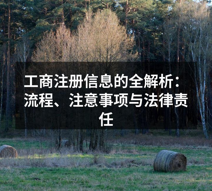 工商注册信息的全解析：流程、注意事项与法律责任