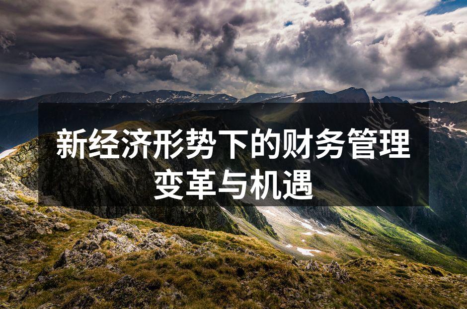 新经济形势下的财务管理变革与机遇